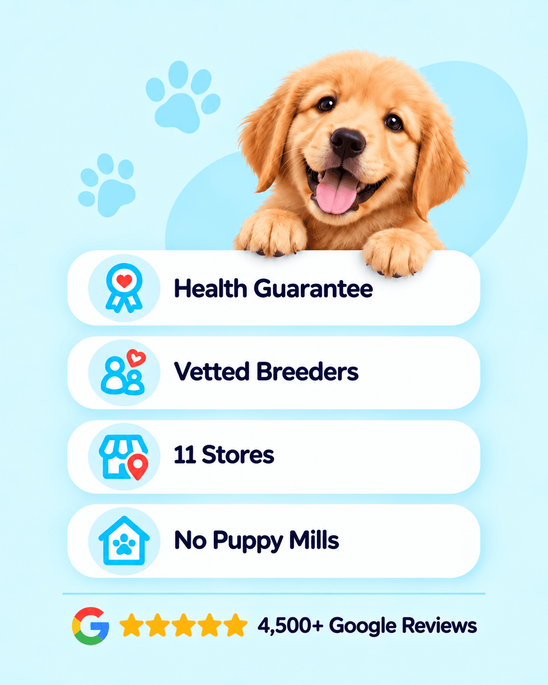 Health Guarantee, Vetted Breeders, 1 Store, No Puppy Mills, and 4,500+ Google Reviews.