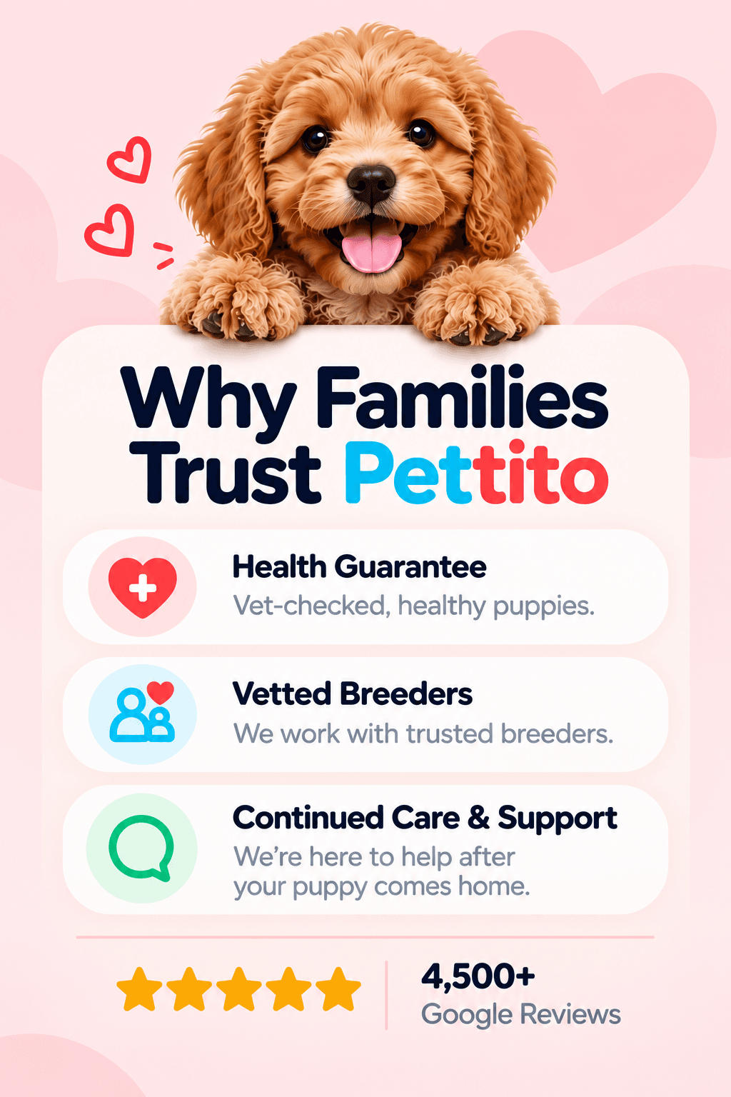 Why Families Trust Pettito: health guarantee, vetted breeders, continued care and support, and 4,500+ Google reviews.