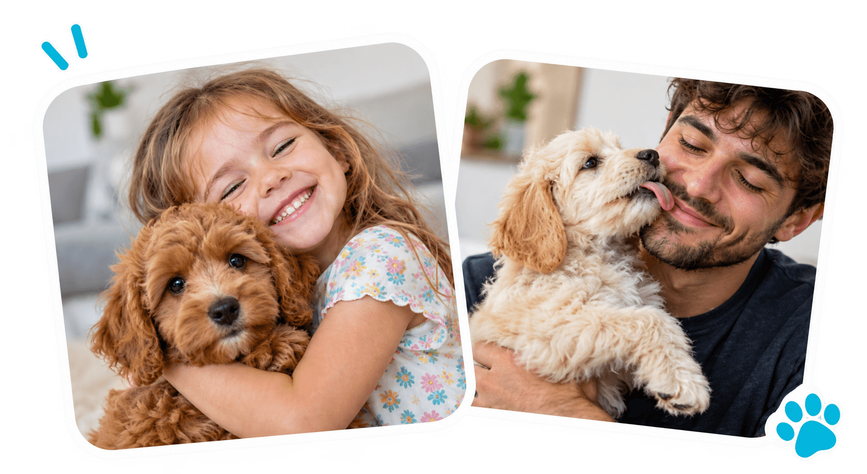 Happy families enjoying time with their Pettito puppies