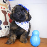 Mina Shihpoo 03