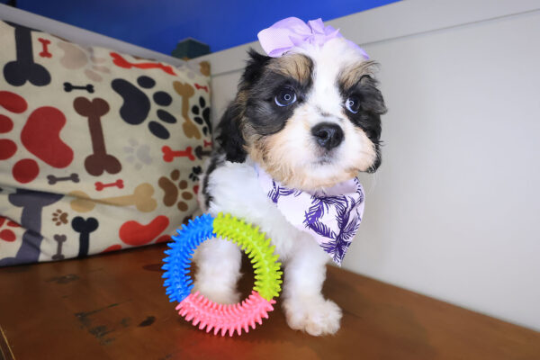 Camilla Cavachon 01