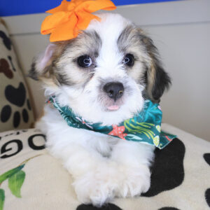 Megara Teddy Bear 01 Megara Teddy Bear 01