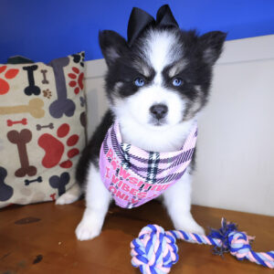 Trudy Pomsky 01 Trudy Pomsky 01