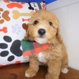 Monte Bichapoo 02