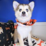 Sally Pomsky 03