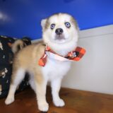 Sally Pomsky 04
