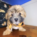 Randall Morkie 01